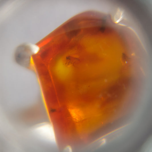 No.0033 Insect in Amber Ring #13