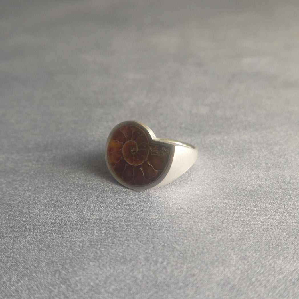 No.0011 アンモナイト シグネットリング #11