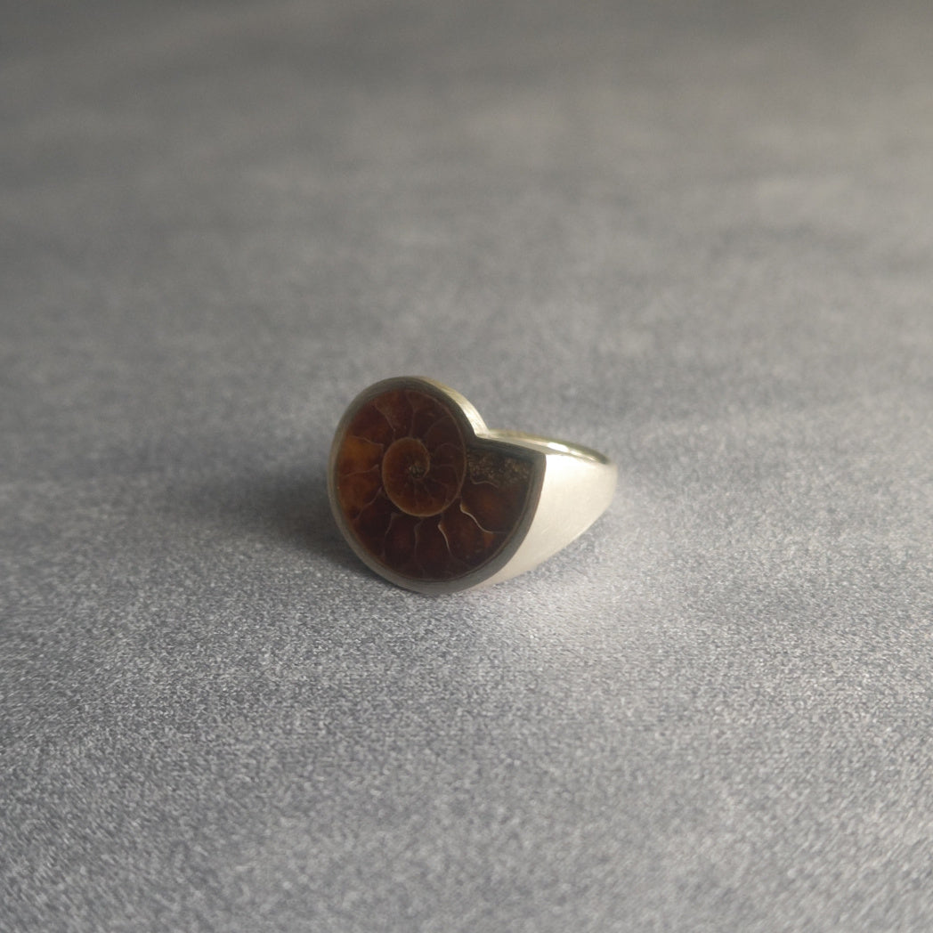 No.0011 アンモナイト シグネットリング #11