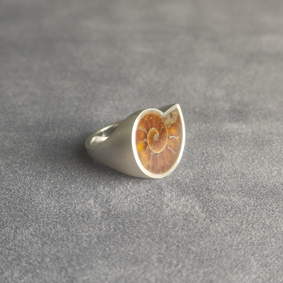 No.0011 アンモナイト シグネットリング #11
