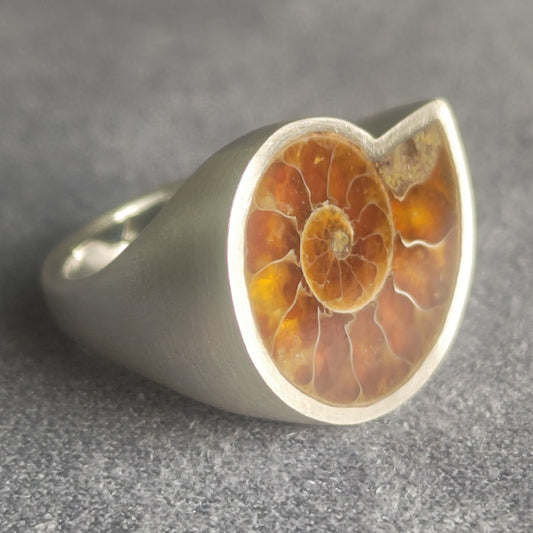 No.0011 アンモナイト シグネットリング #11