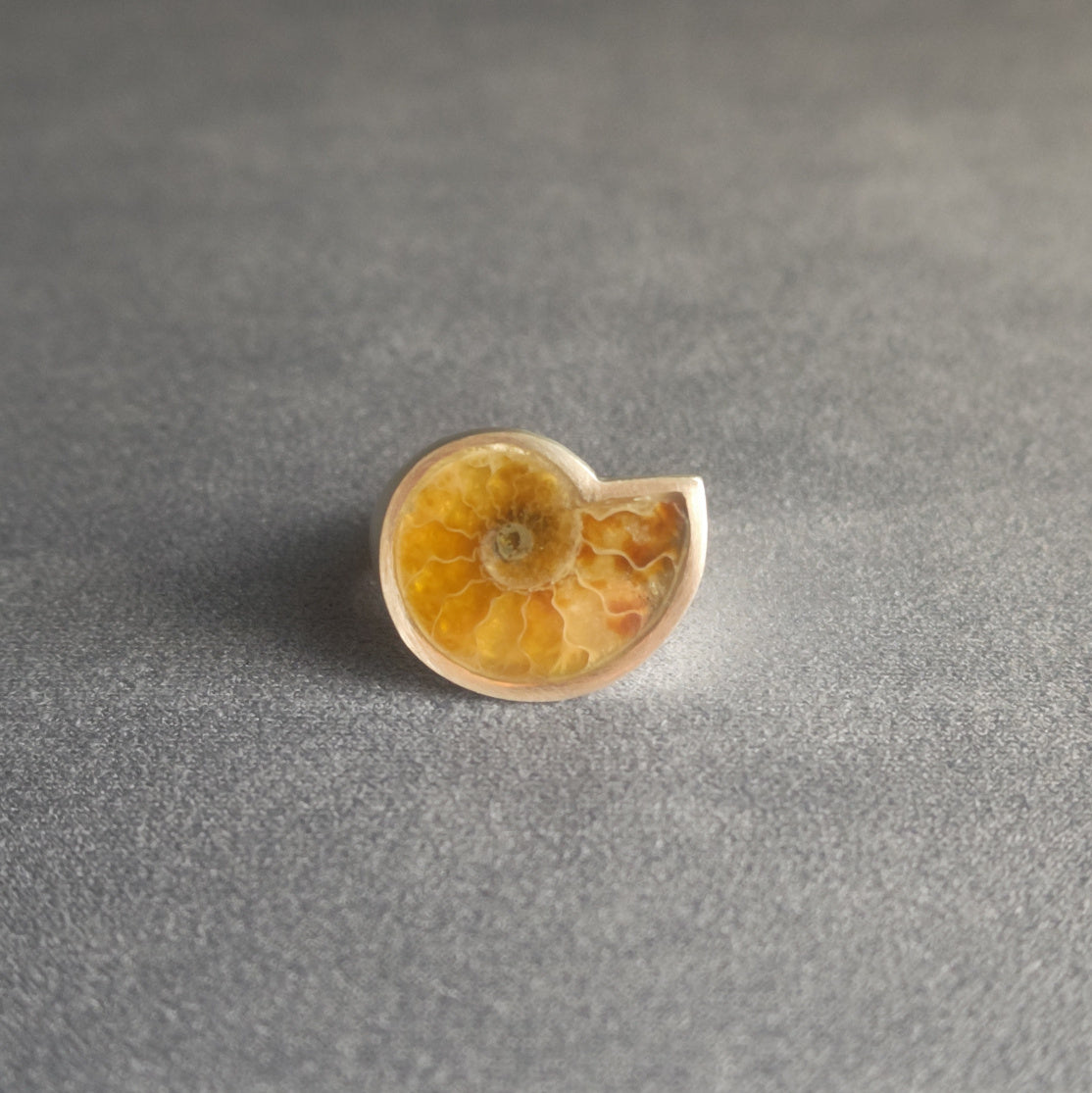 No.0012 アンモナイト シグネットリング #13