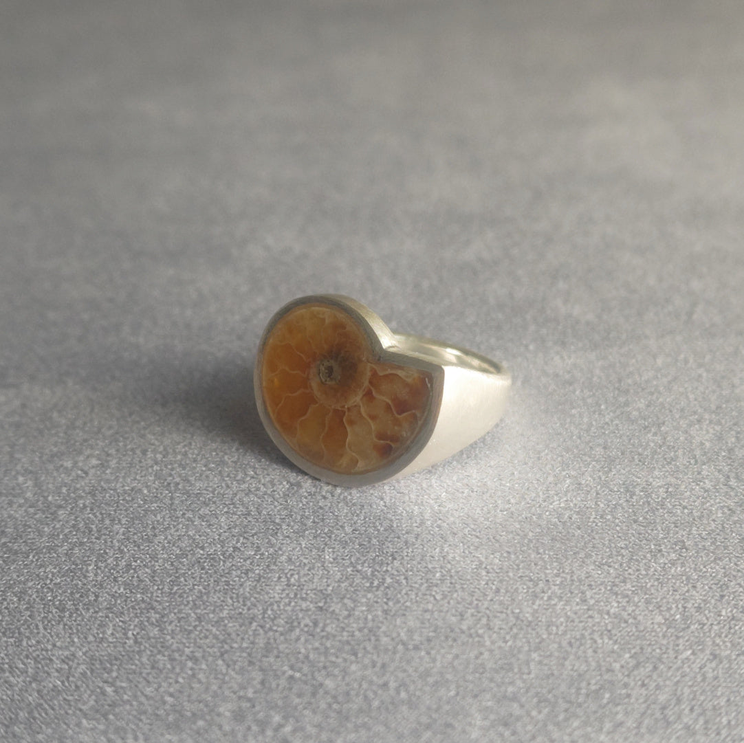 No.0012 Ammonite Signet Ring #13