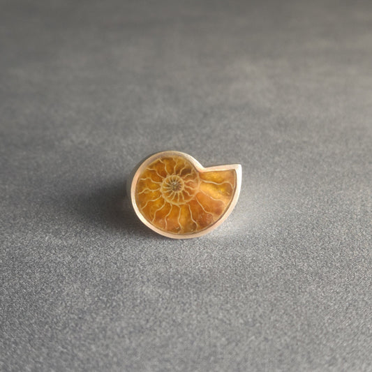 No.0013 アンモナイト シグネットリング #15