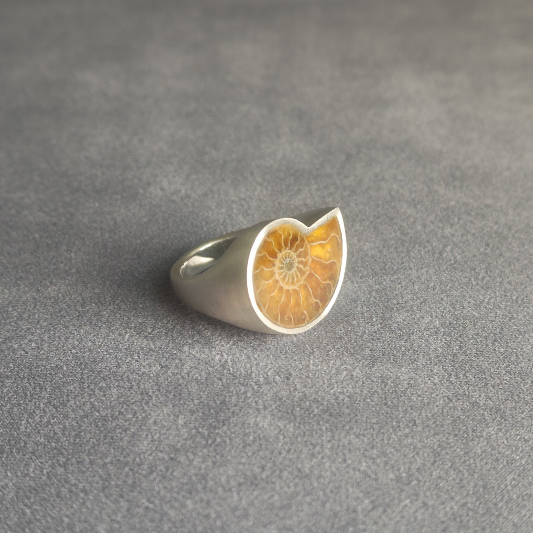 No.0013 アンモナイト シグネットリング #15