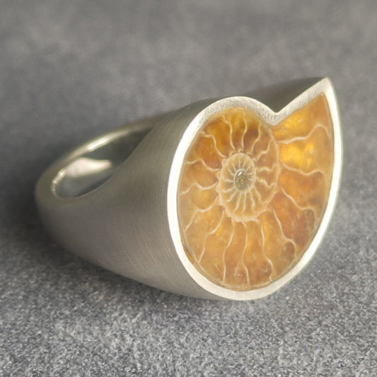 No.0013 アンモナイト シグネットリング #15