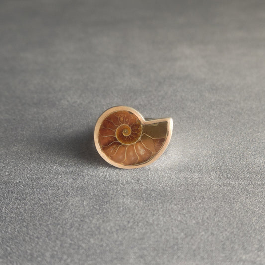 No.0014 アンモナイト シグネットリング #17
