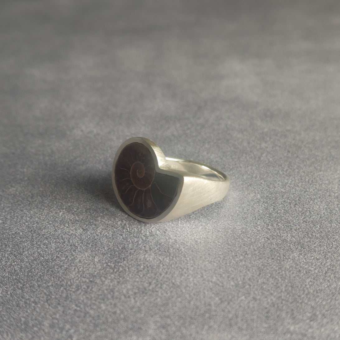 No.0014 アンモナイト シグネットリング #17