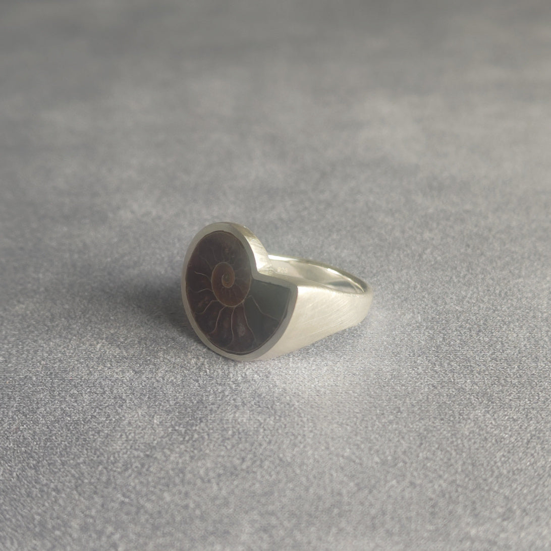 No.0014 アンモナイト シグネットリング #17