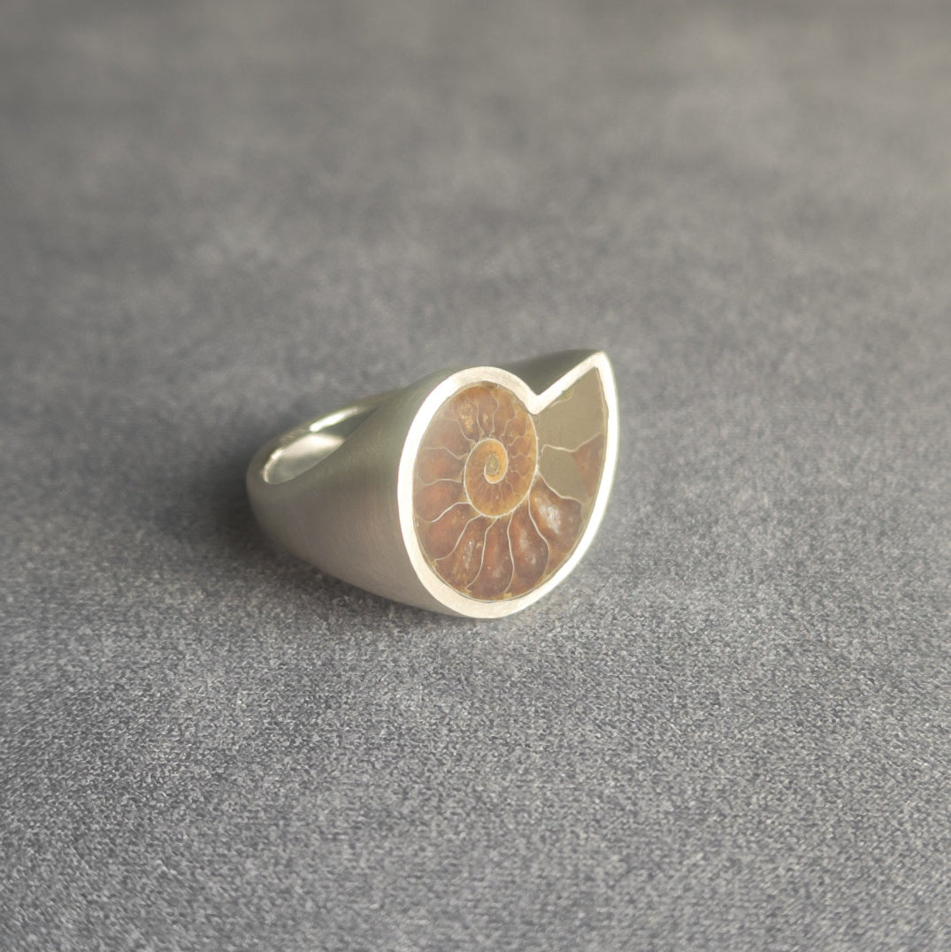 No.0014 アンモナイト シグネットリング #17