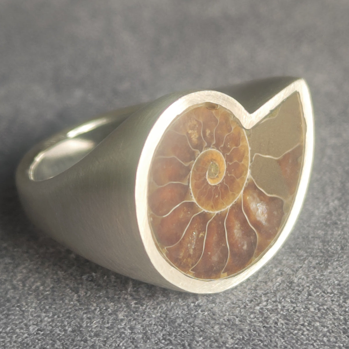 No.0014 アンモナイト シグネットリング #17