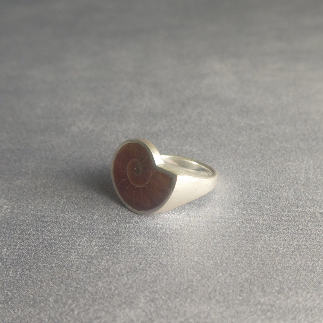 No.0015 アンモナイト シグネットリング #19