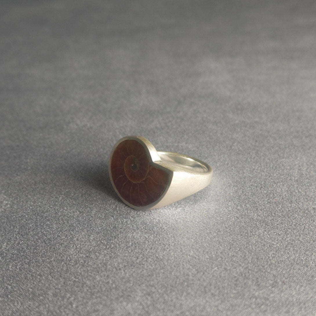 No.0015 アンモナイト シグネットリング #19