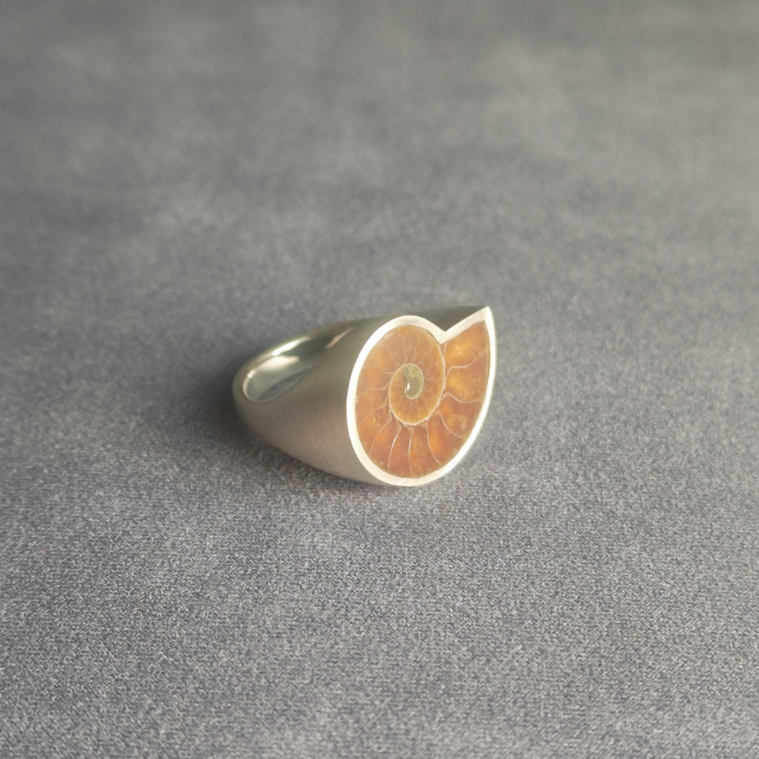 No.0015 アンモナイト シグネットリング #19