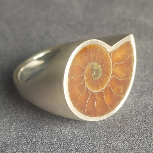 No.0015 アンモナイト シグネットリング #19