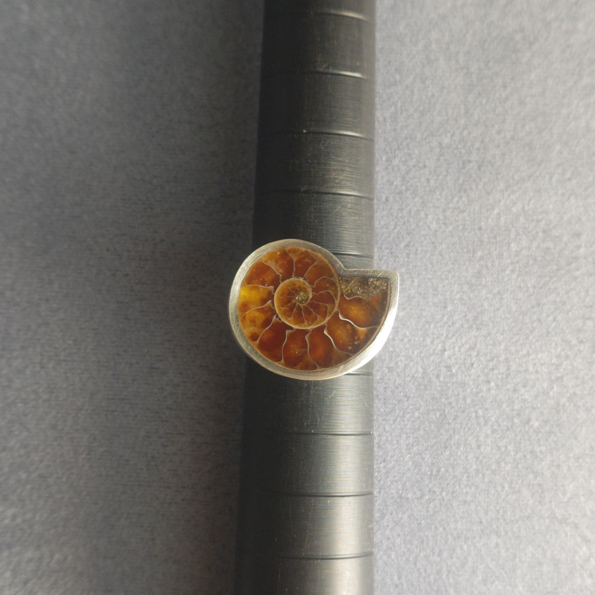 No.0011 アンモナイト シグネットリング #11