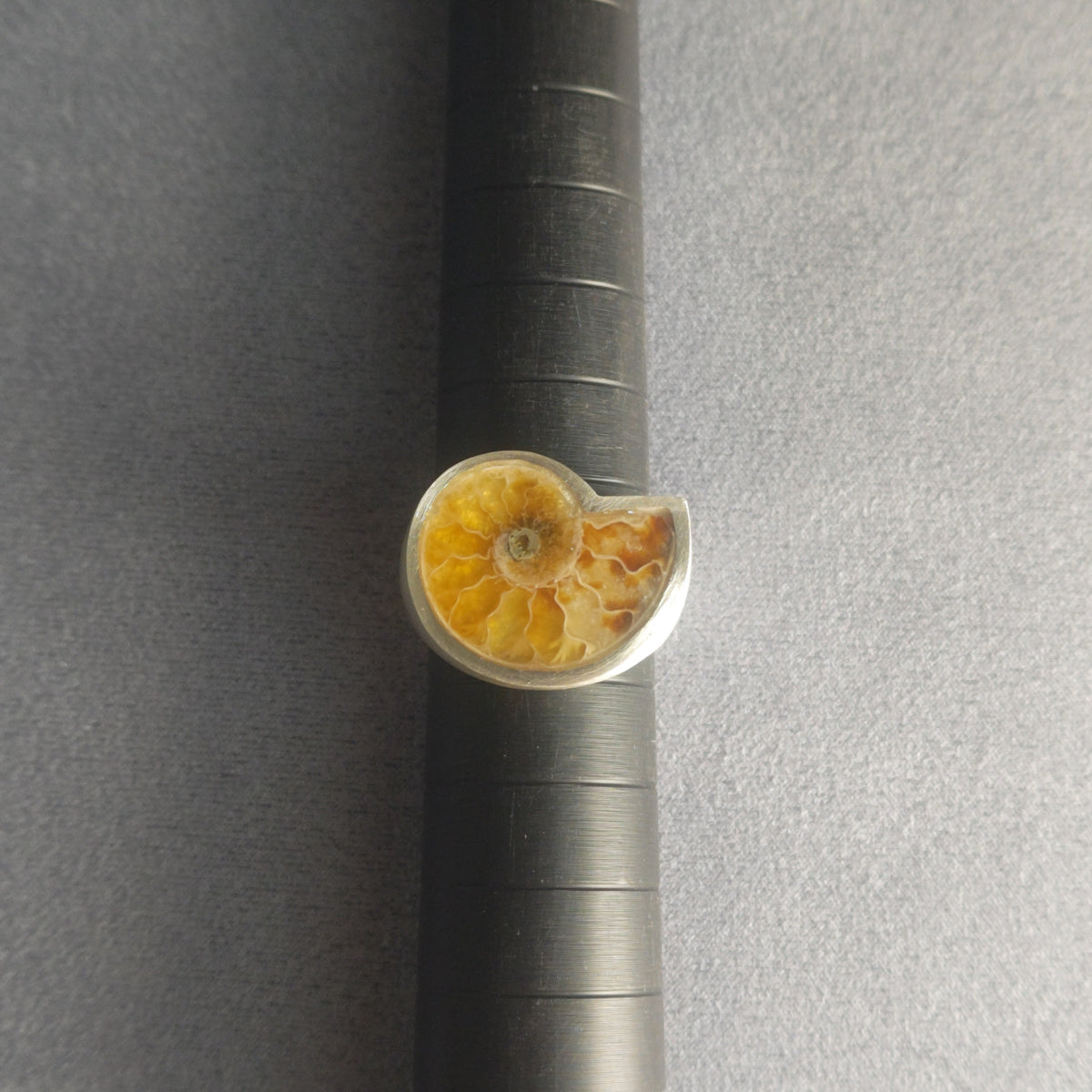 No.0012 アンモナイト シグネットリング #13