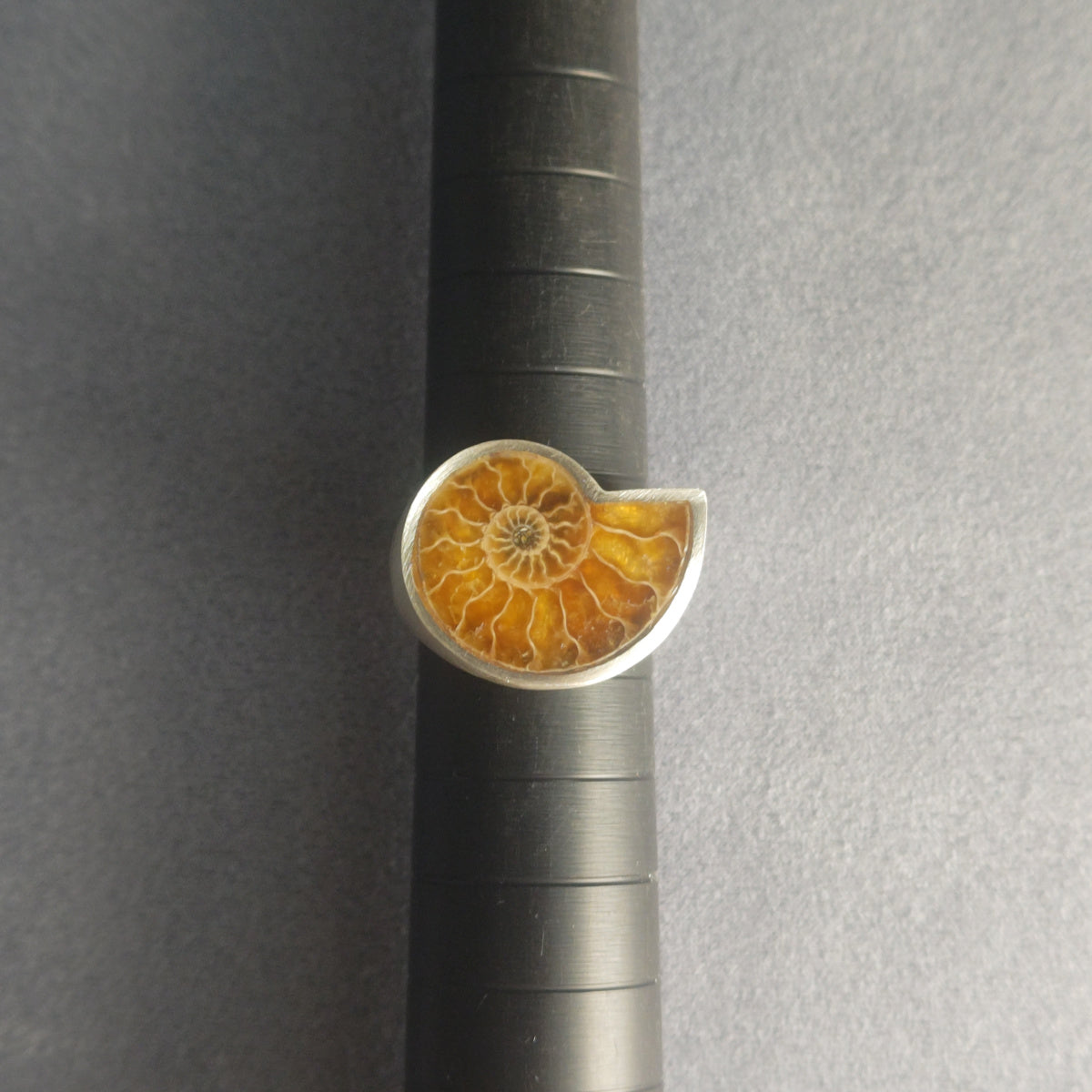 No.0013 アンモナイト シグネットリング #15