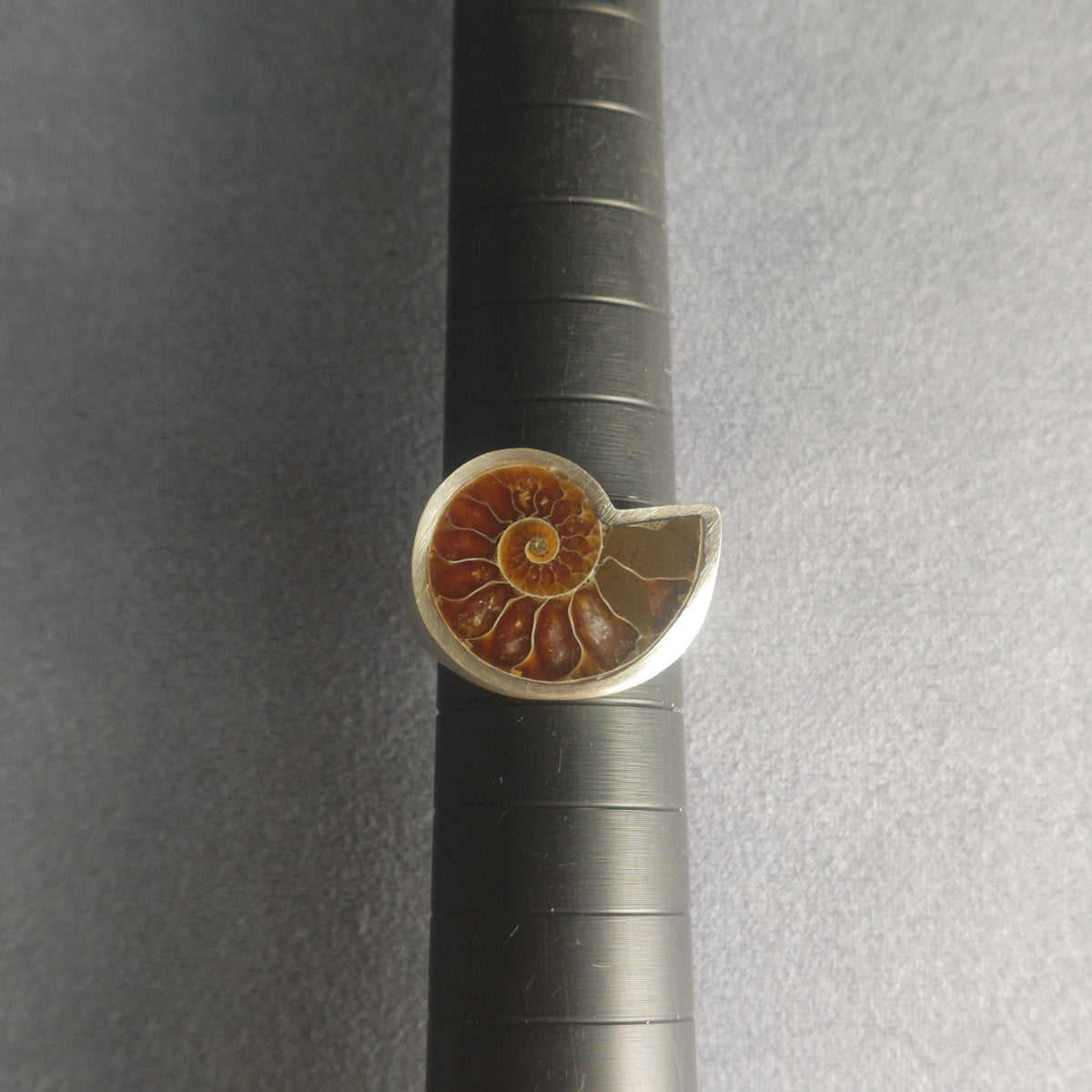 No.0014 アンモナイト シグネットリング #17