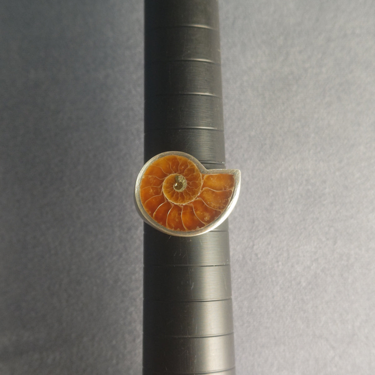 No.0015 アンモナイト シグネットリング #19