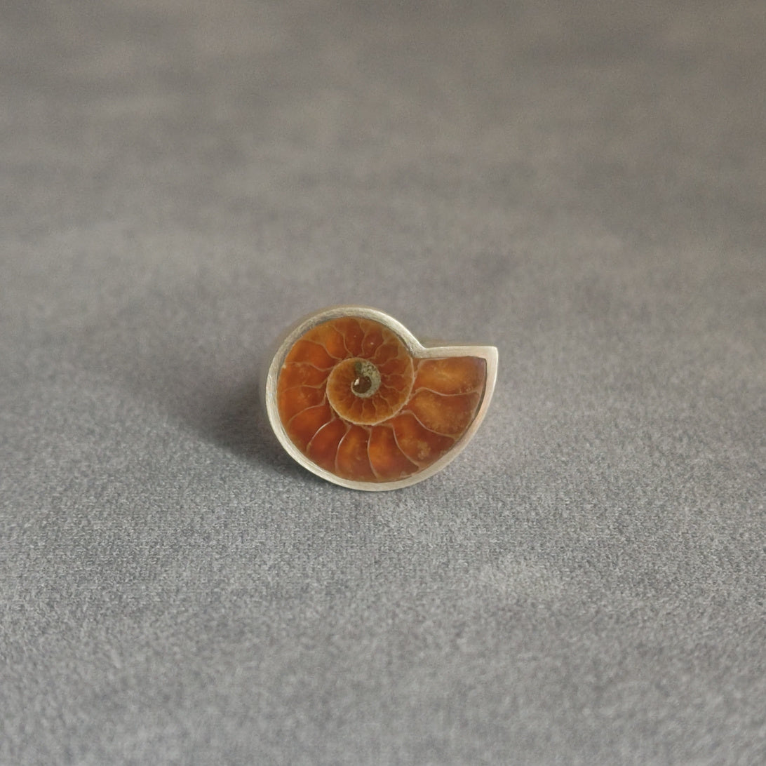 No.0015 アンモナイト シグネットリング #19