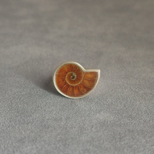 No.0015 アンモナイト シグネットリング #19