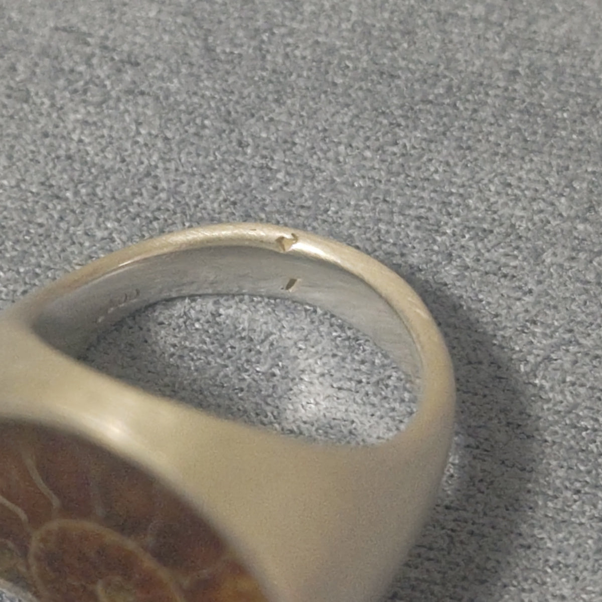 No.0011 アンモナイト シグネットリング #11