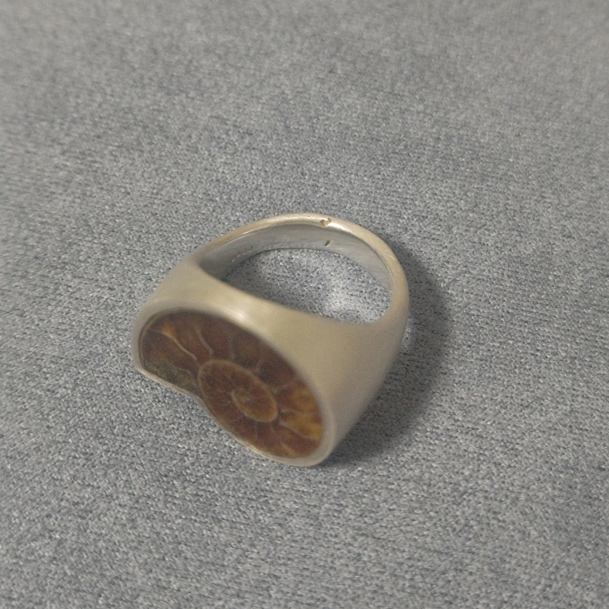 No.0011 アンモナイト シグネットリング #11