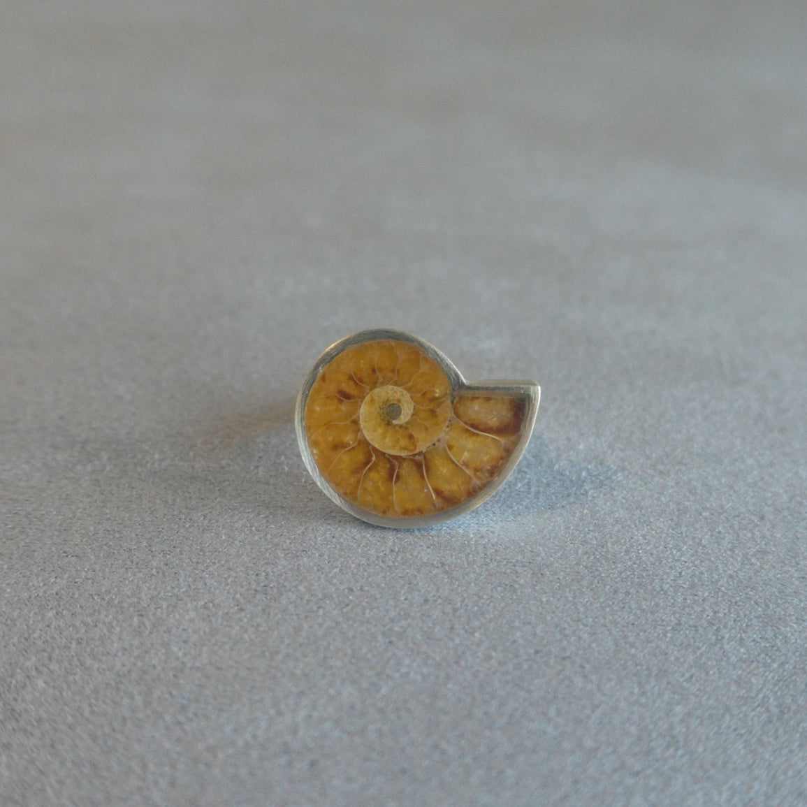No.0019 アンモナイト リング #11