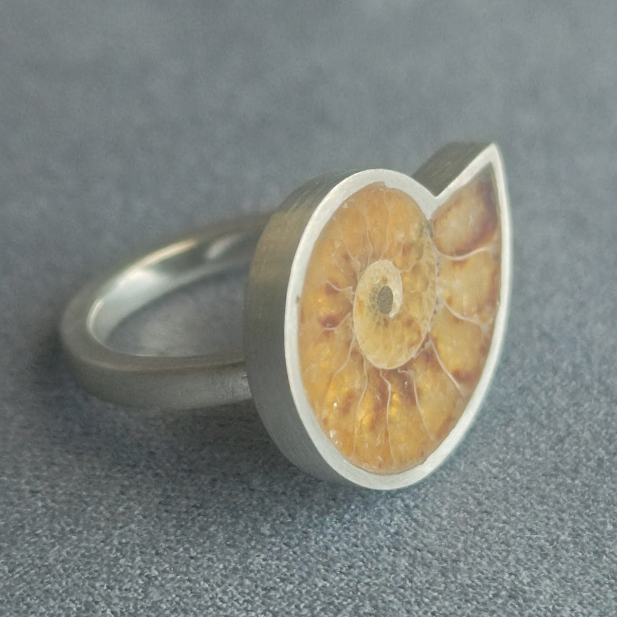 No.0019 アンモナイト リング #11