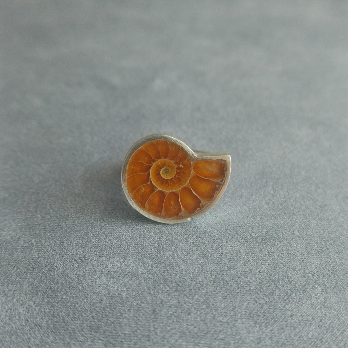 No.0020 アンモナイト リング #13