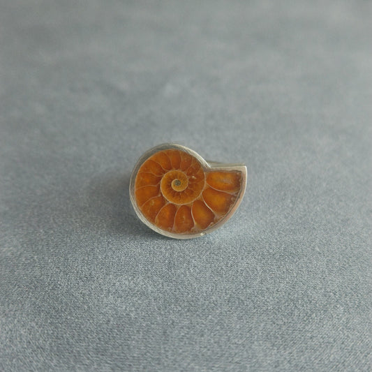 No.0020 アンモナイト リング #13