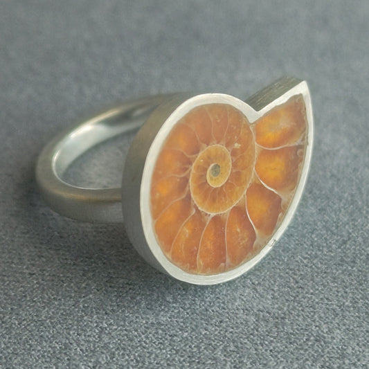 No.0020 アンモナイト リング #13
