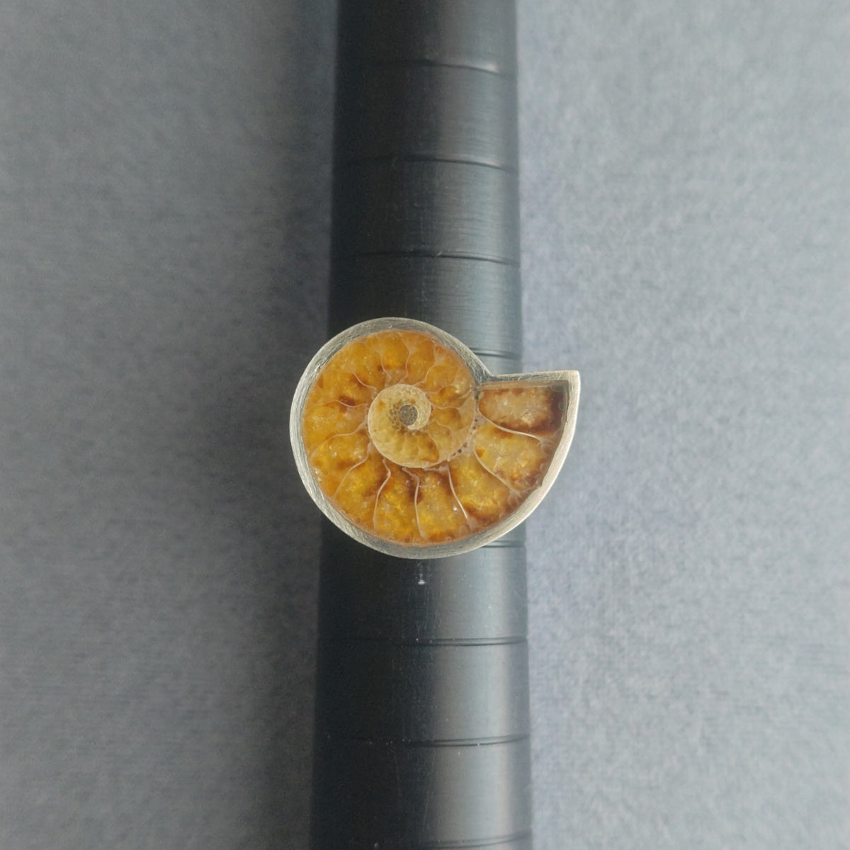 No.0019 アンモナイト リング #11