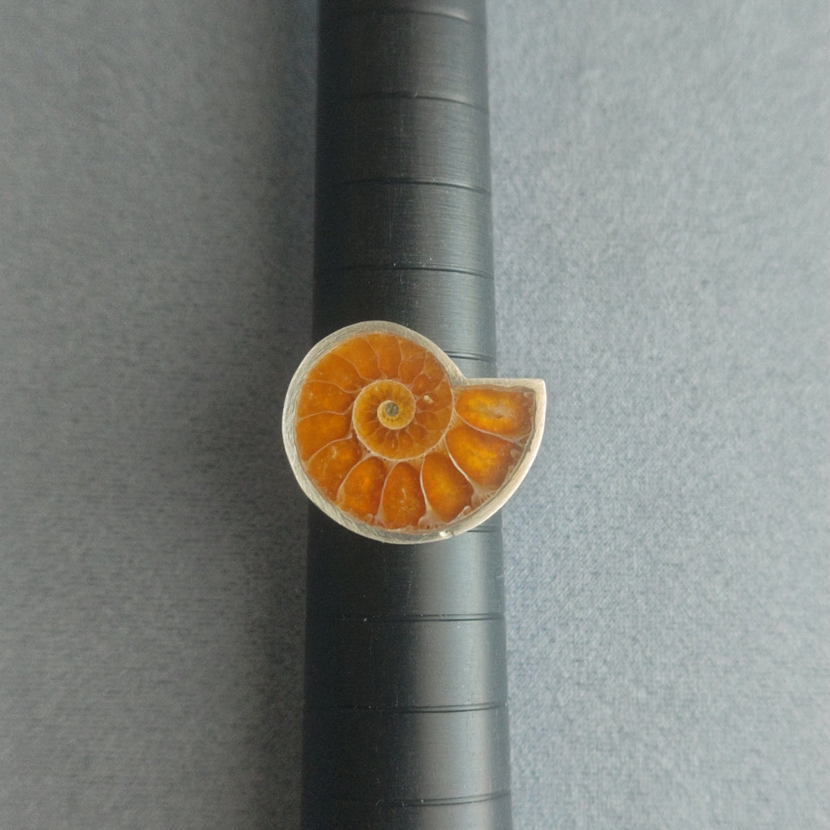 No.0020 アンモナイト リング #13