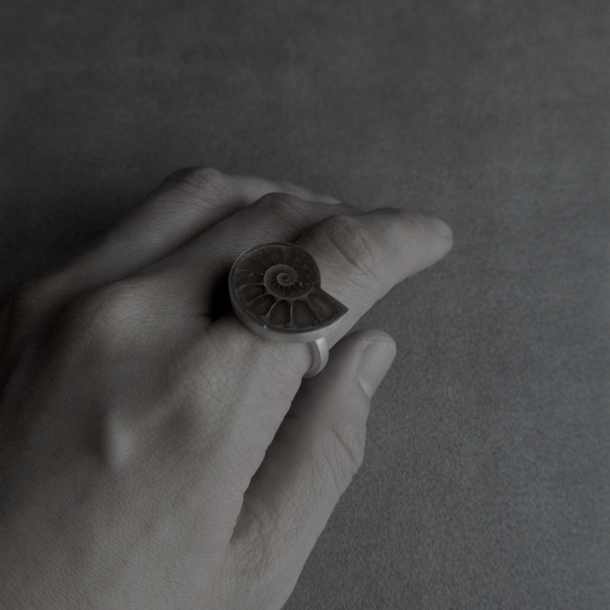 No.0019 アンモナイト リング #11