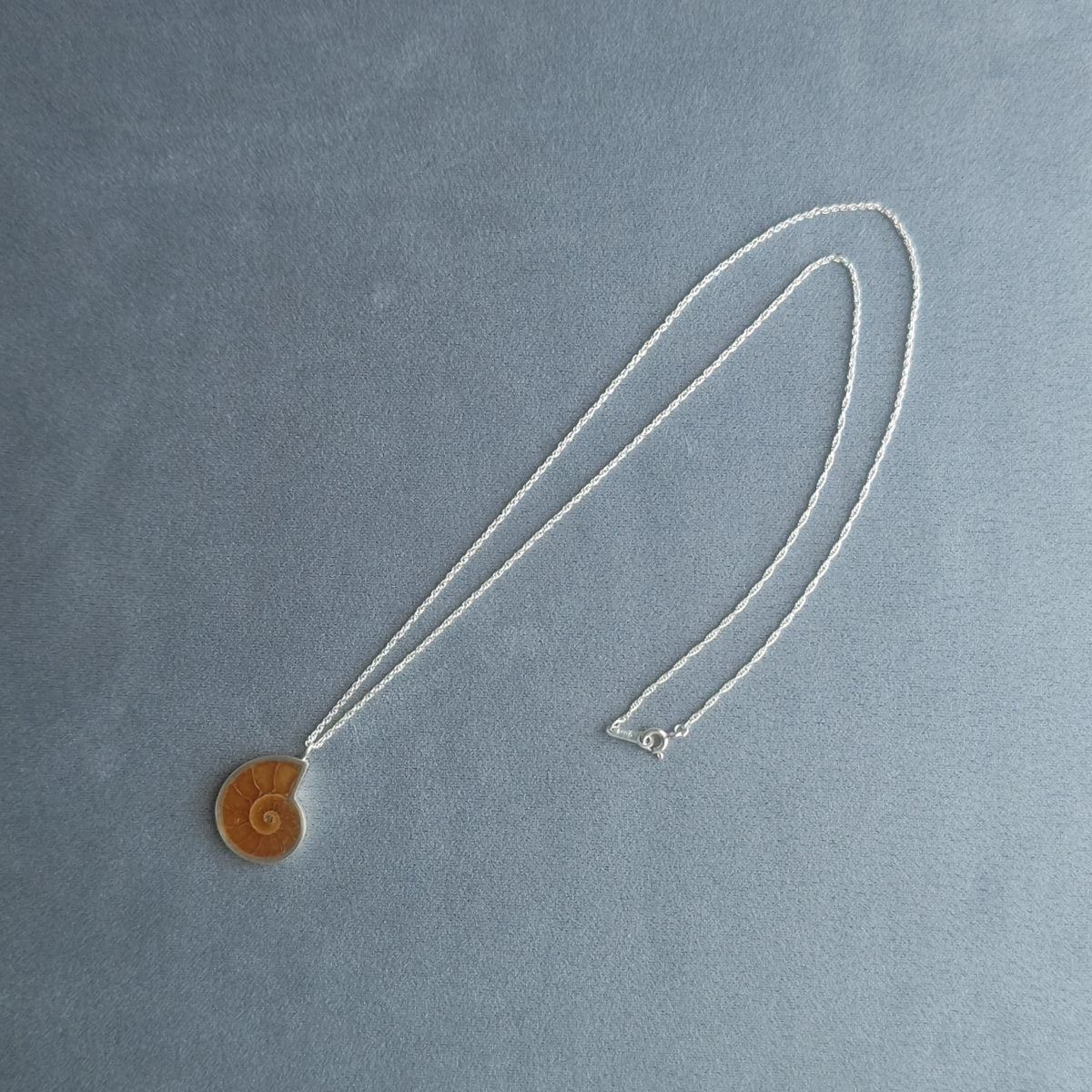 No.0021 アンモナイト ネックレス