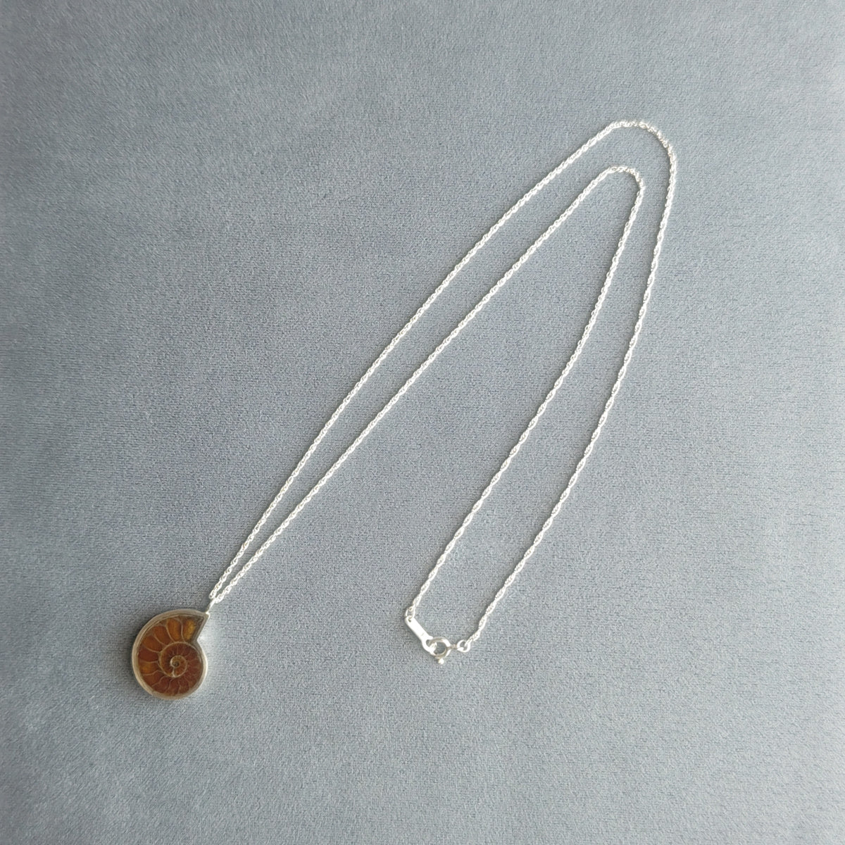 No.0022 アンモナイト ネックレス