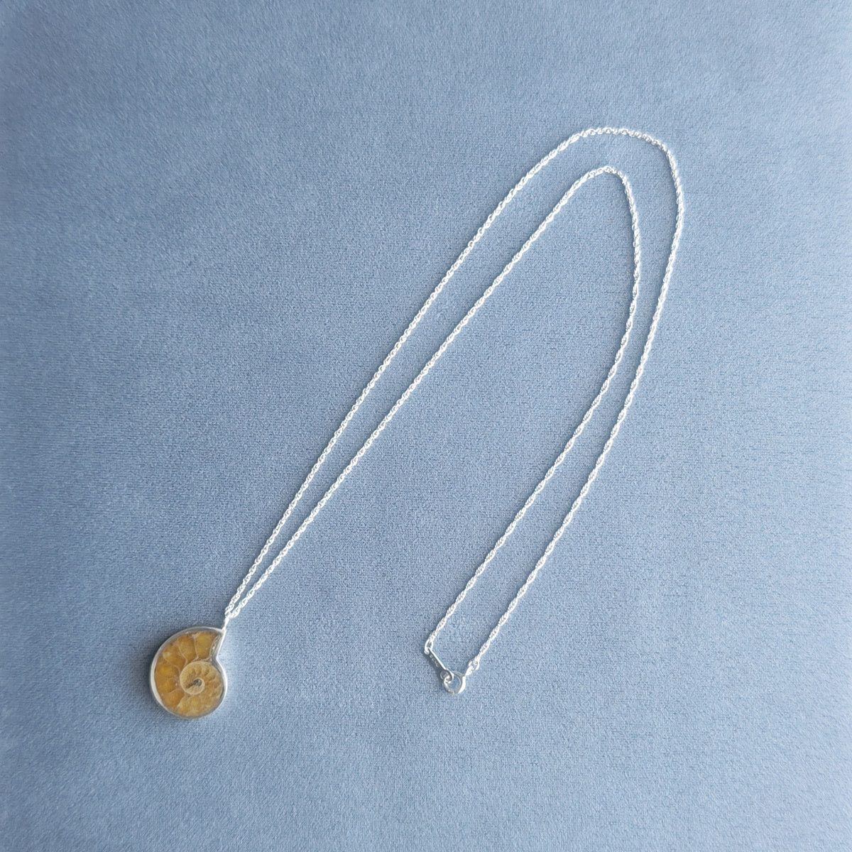 No.0023 アンモナイト ネックレス