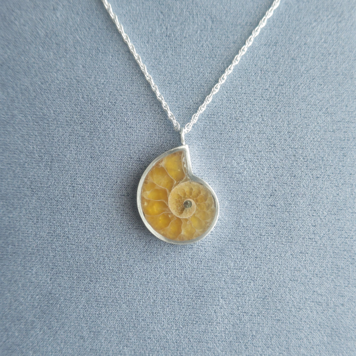 No.0023 アンモナイト ネックレス
