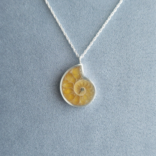 No.0023 アンモナイト ネックレス