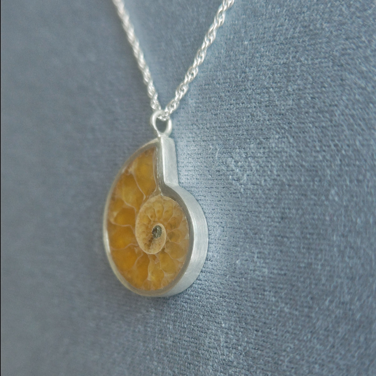 No.0023 アンモナイト ネックレス