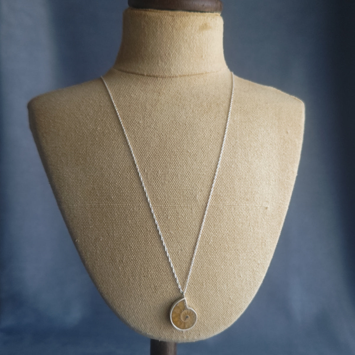 No.0023 アンモナイト ネックレス