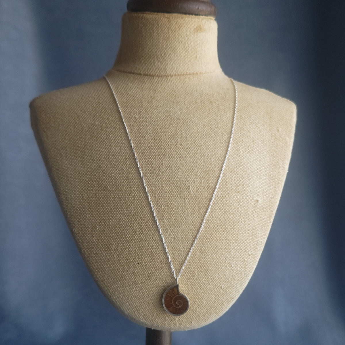 No.0022 アンモナイト ネックレス