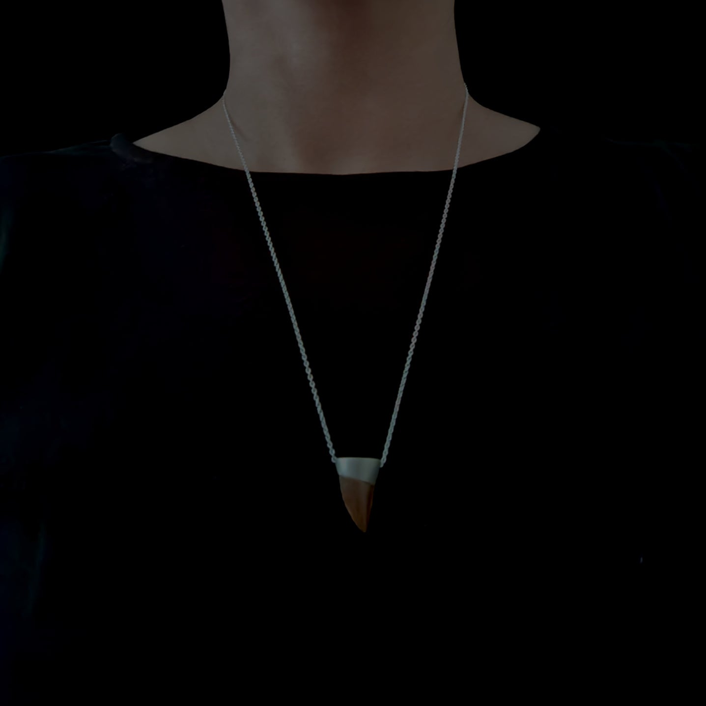 No.0017 モササウルスの歯 ネックレス