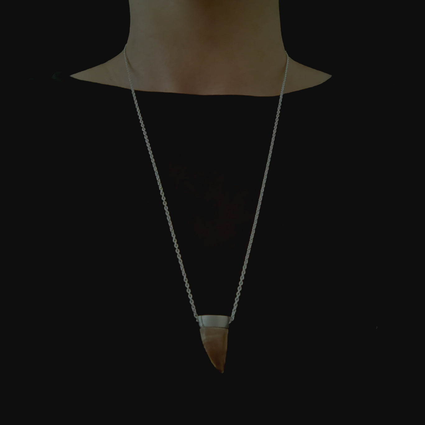 No.0016 モササウルスの歯 ネックレス