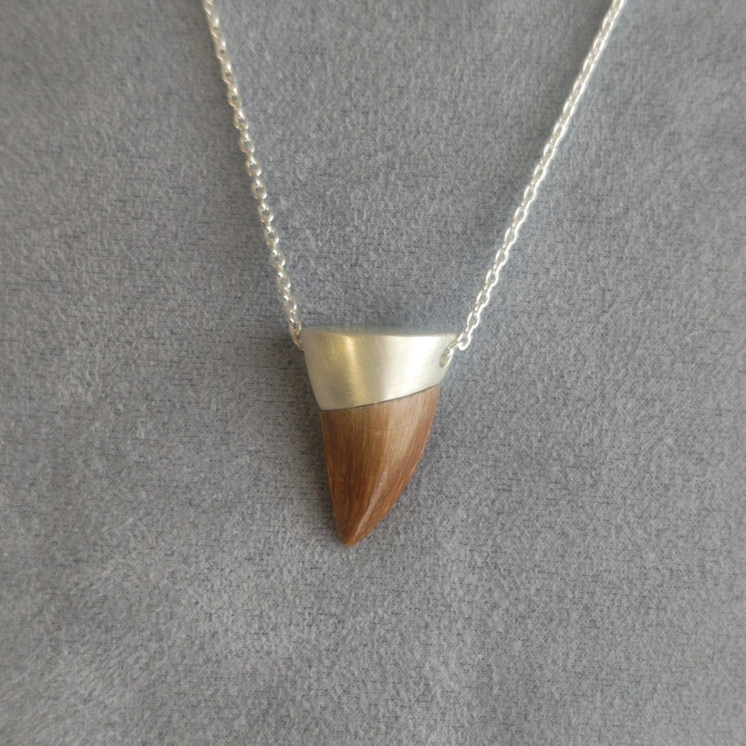 No.0017 モササウルスの歯 ネックレス