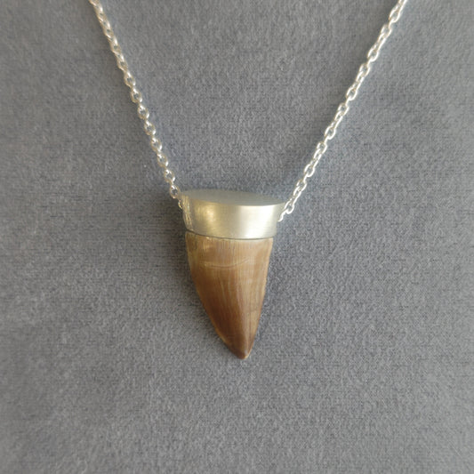 No.0016 モササウルスの歯 ネックレス