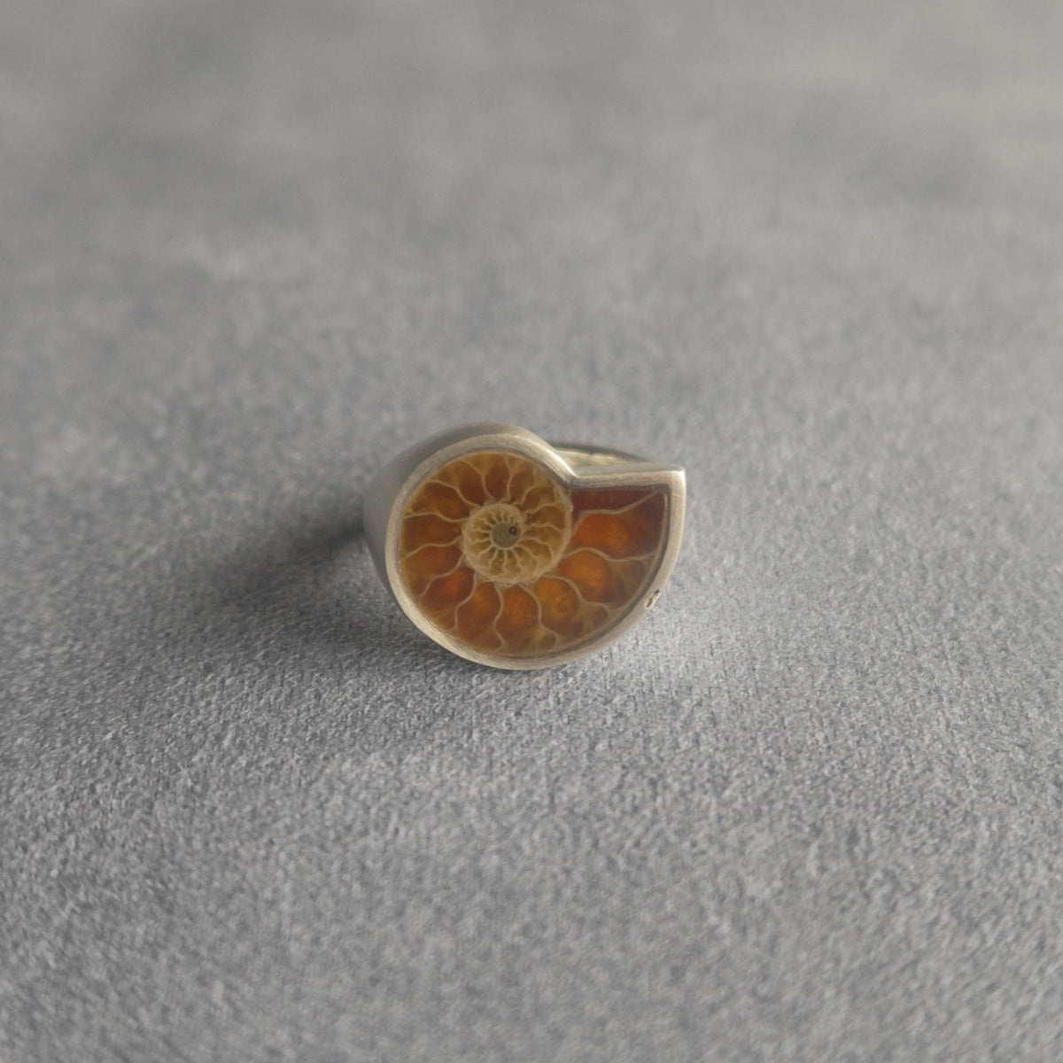 No.0034 Ammonite Signet Ring #7
