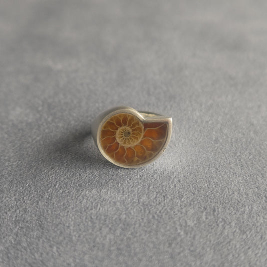 No.0034 Ammonite Signet Ring #7